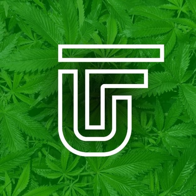 Urban Flower Logo