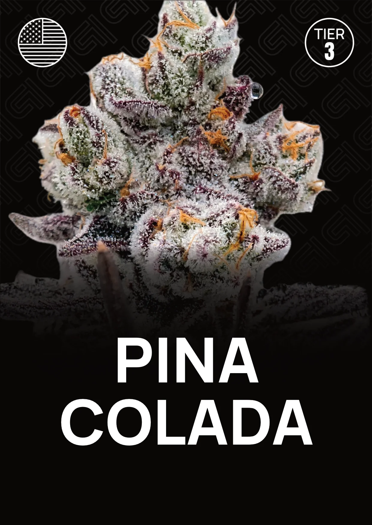 Pina Colada