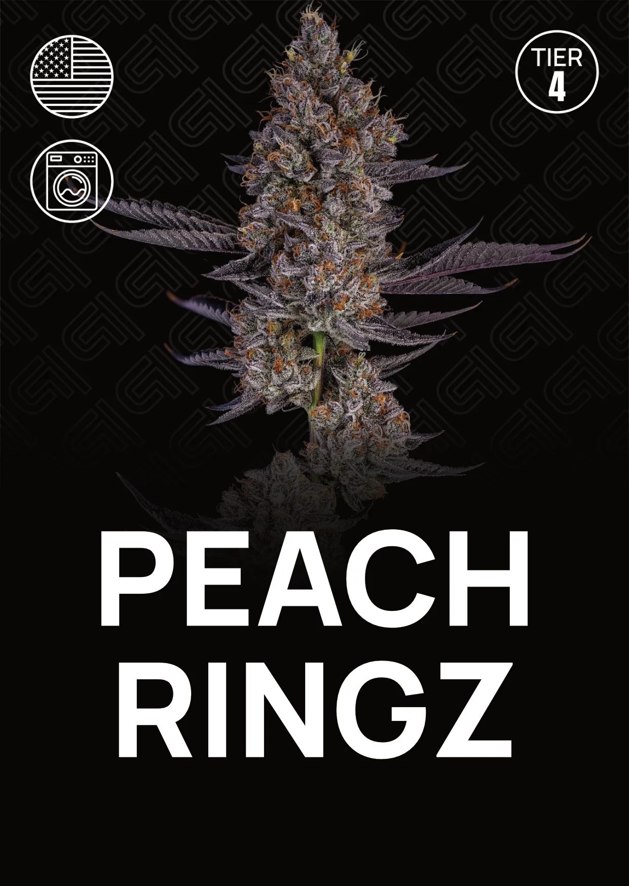 Peach Ringz