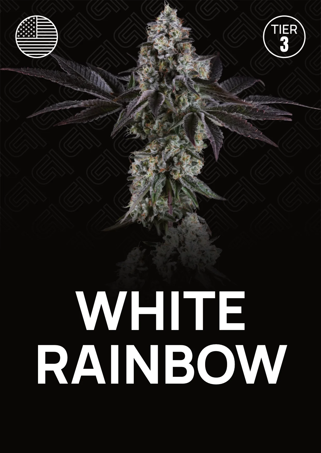 White Rainbow